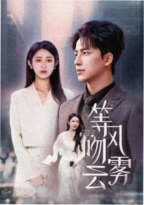 城中之城 职场现实剧全集